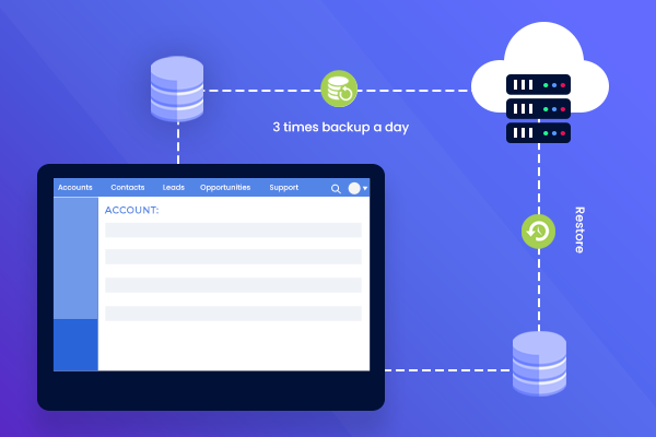 Microsoft Database Consultation