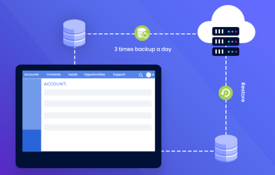 Microsoft Database Consultation