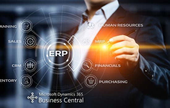 Tailored CRM and ERP Solutions